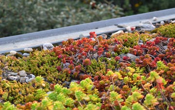 the cost of Top Lock green roof installation