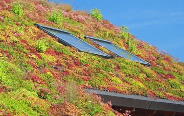 Top Lock living roof systems